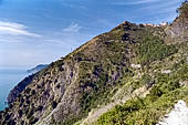 Liguria - Le Cinque Terre. Il Sentiero Verdeazzurro da Vernazza a Riomaggiore. Tra Vernazza e Corniglia la frazione di San Bernardino aggrappata su uno stretto crinale 